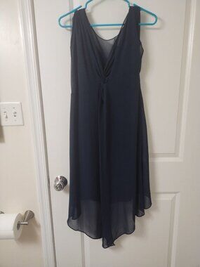 Adrianna Papell Dress, Sexy Fitted Dress w/Sheer Layer, Ladies Small
